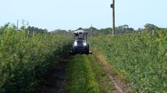 168玩家社区-im电竞俱乐部 Monarch Tractor on a blueberry farm